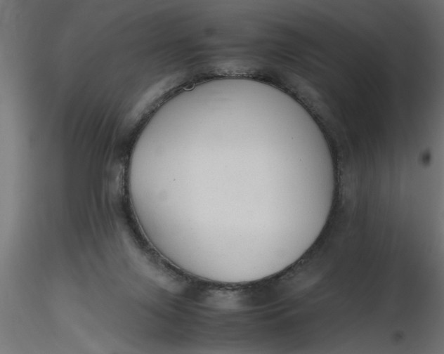 X0000116660071200912291646