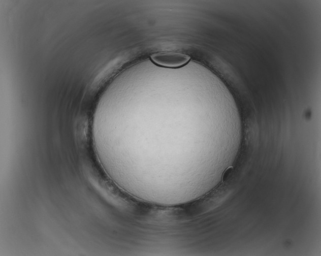 X0000116660072200912291646