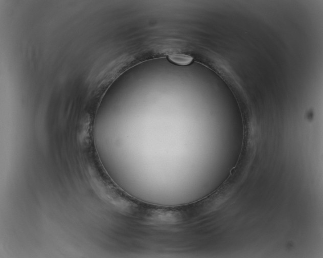 X0000116660073200912291646