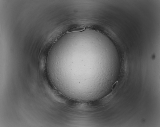 X0000116660074200912291646