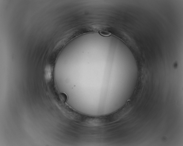 X0000116660075200912291646