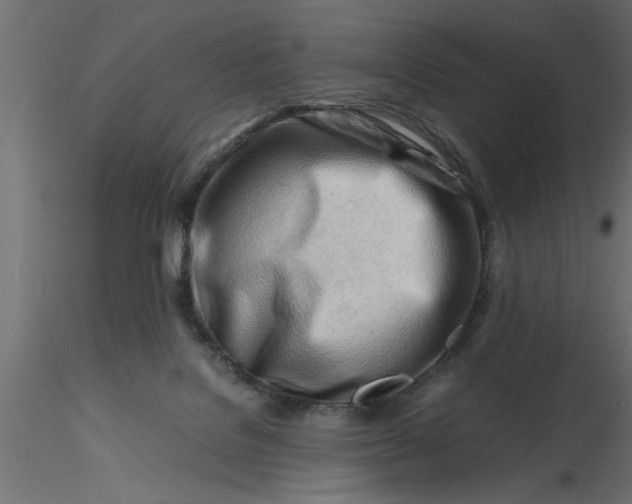 X0000116660076200912291646