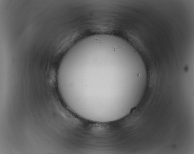 X0000116660077200912291646