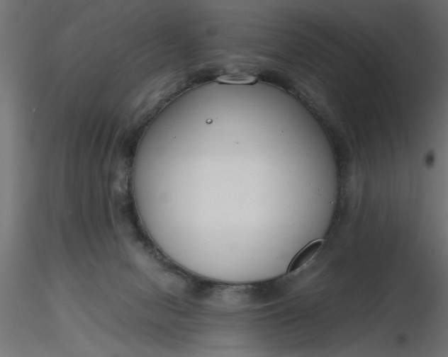 X0000116660078200912291646