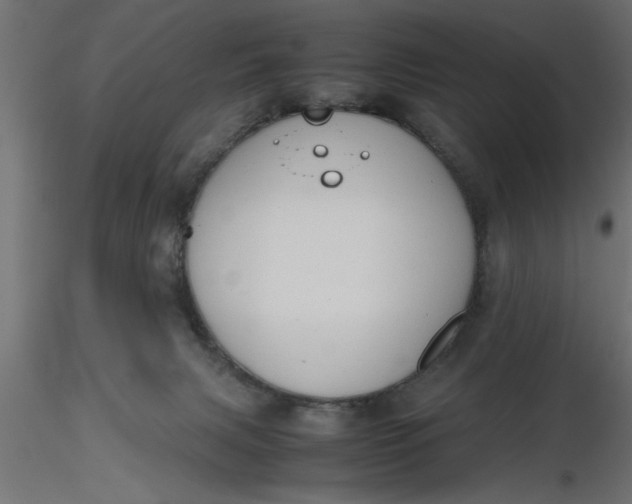 X0000116660079200912291646