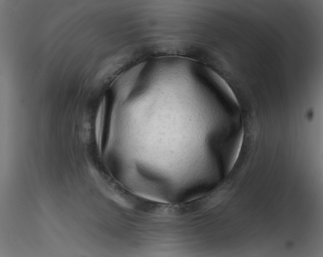 X0000116660080200912291646