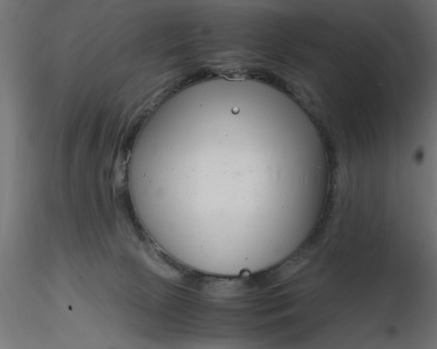 X0000116660081200912291646