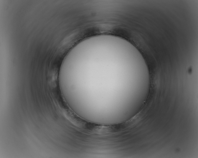 X0000116660082200912291646