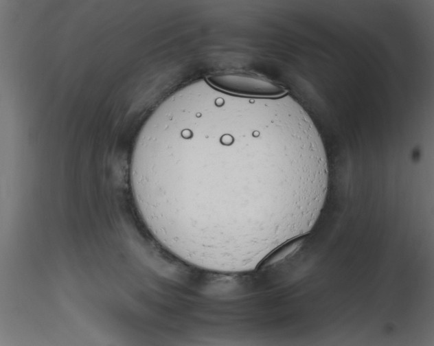 X0000116660083200912291646