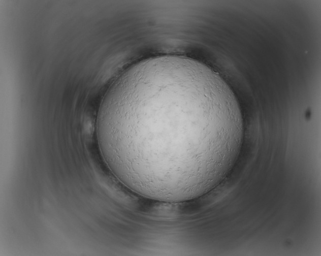 X0000116660084200912291646