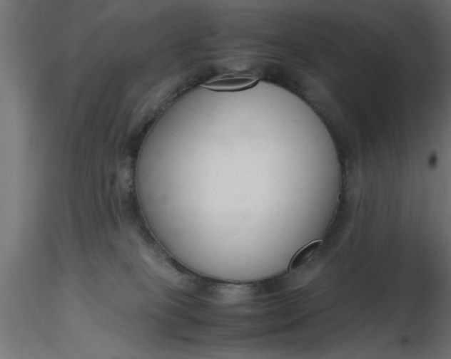 X0000116660085200912291646