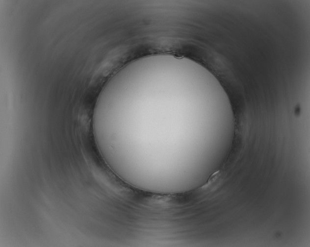 X0000116660086200912291646