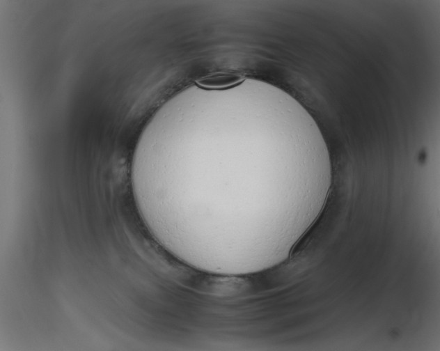 X0000116660087200912291646