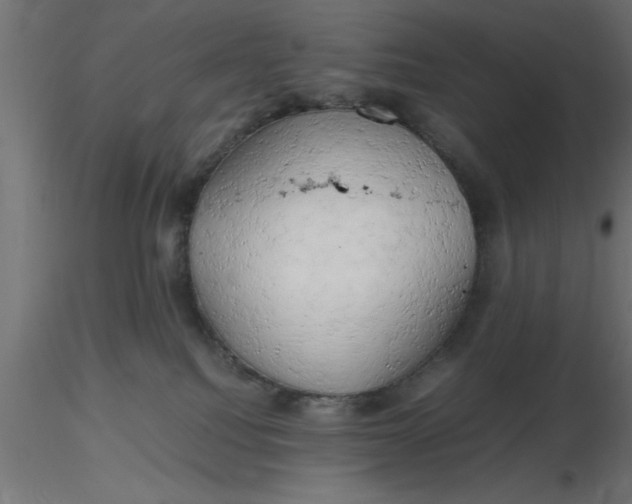 X0000116660088200912291646