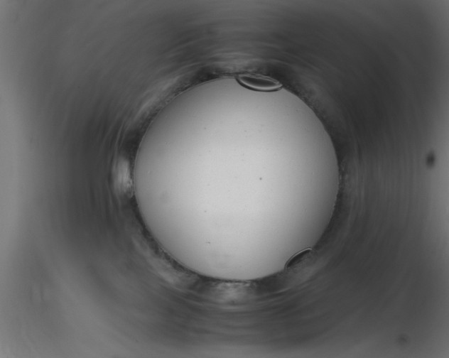 X0000116660089200912291646