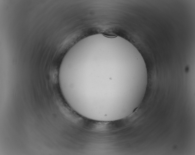 X0000116660090200912291646