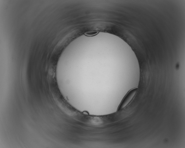 X0000116660091200912291646