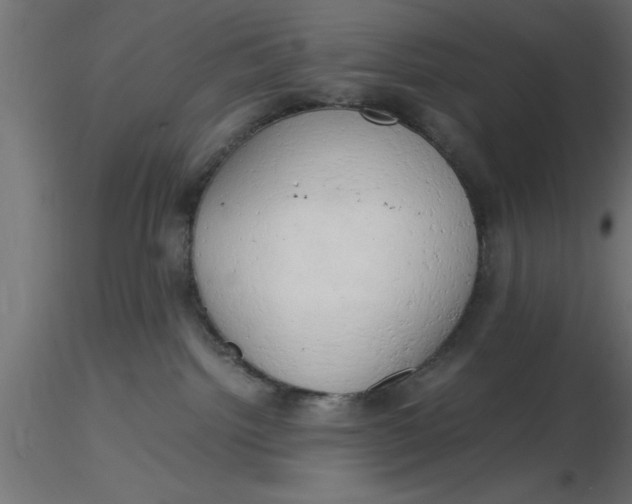 X0000116660092200912291646