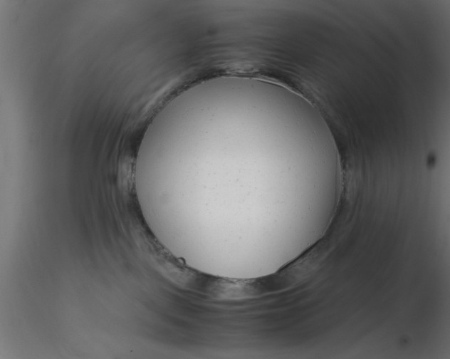 X0000116660093200912291646