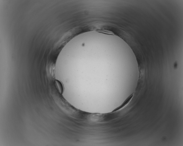 X0000116660094200912291646