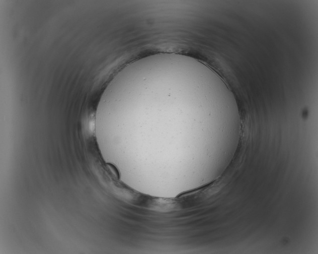 X0000116660095200912291646