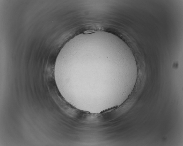 X0000116660096200912291646