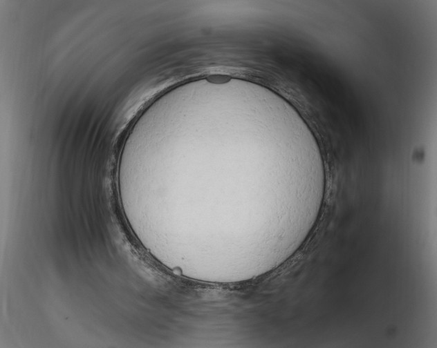 X0000116660098200912291646