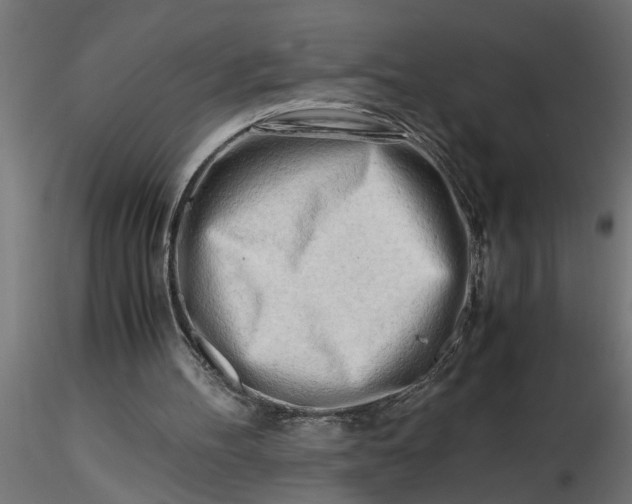 X0000116660100200912291646