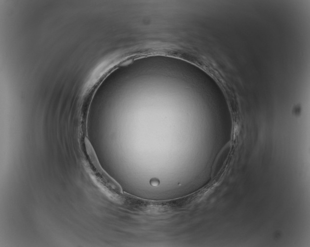 X0000116660101200912291646