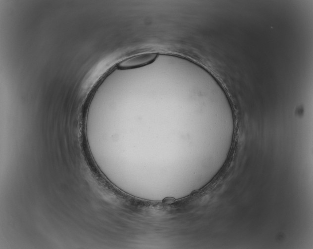 X0000116660103200912291646