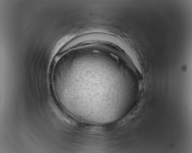 X0000116660104200912291646