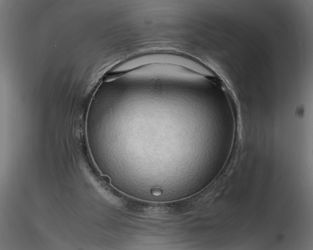 X0000116660105200912291646