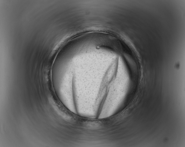 X0000116660106200912291646