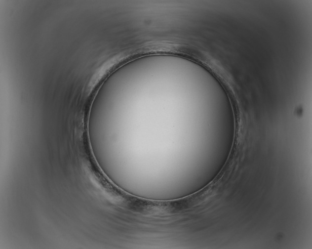 X0000116660107200912291646