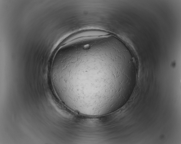 X0000116660108200912291646