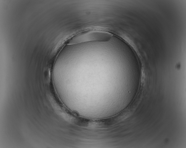 X0000116660109200912291645