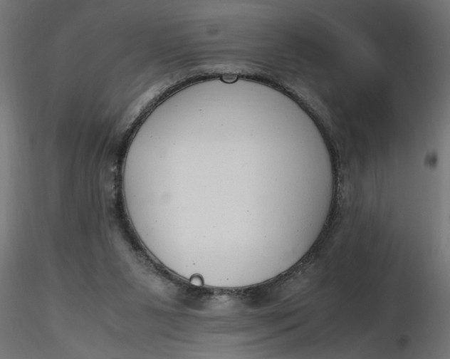 X0000116660111200912291645