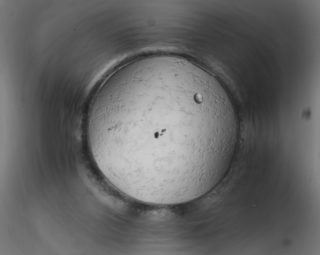 X0000116660112200912291645