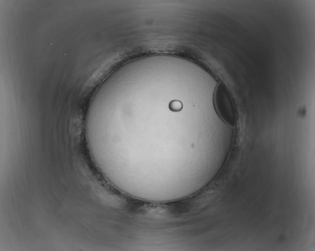 X0000116660113200912291645