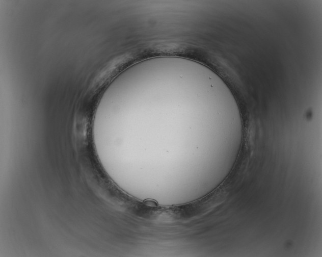 X0000116660115200912291645