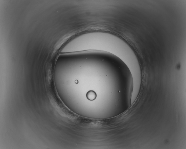 X0000116660116200912291645