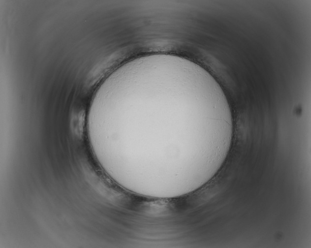 X0000116660118200912291645