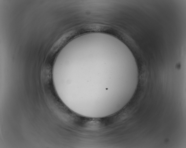 X0000116660119200912291645