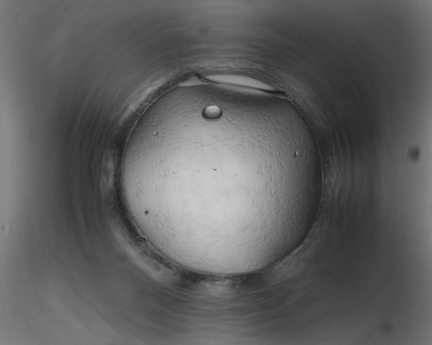 X0000116660120200912291645