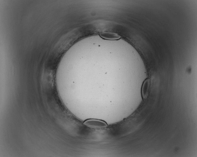 X0000116660121200912291645