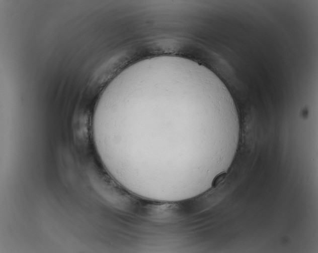 X0000116660122200912291645