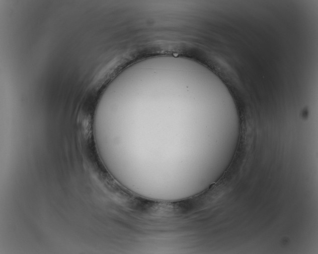 X0000116660123200912291645