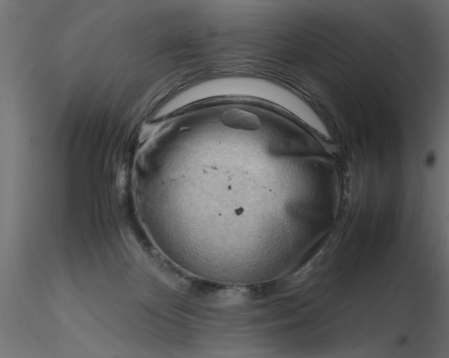 X0000116660124200912291645