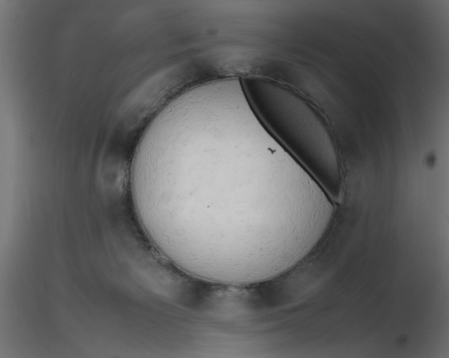 X0000116660125200912291645