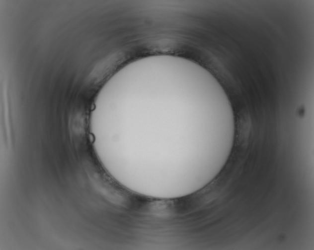 X0000116660126200912291645